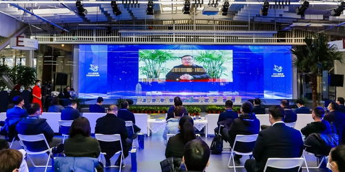 京津冀運河文化旅游城市合作組織 以文化藝術交流為紐帶，共繪協同發展新畫卷